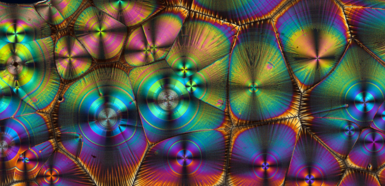Vitamin C imaged with polarised light, refracted into colourful shapes.